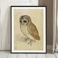 Durer Little Owl Print: Vintage Gallery Wall Art, Famous Artist