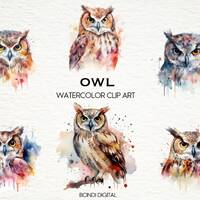 Watercolor Owl Clipart | PNG Format for Commercial Use, Instant Download, 20 Transparent Images | Na