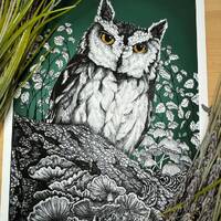 Woodland Owl Theme Fine Art Print