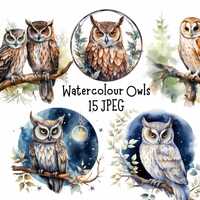 Watercolour Owl Clipart Bundle, 15 JPEG Images, Forest, Woodland Animal Clipart