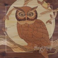 Owl on Branch SVG, Full Moon Wall Decor, Wood Inlay Art, laser ready files, DIY Home Decor, Bird Lov