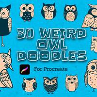 30 Eulen Procreate Stempel + PNGs, Bundle Set, autumn, Whimsical, comic süß Brush Set, wi
