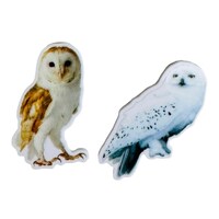 Owl resin brooch or fridge magnet Barn Owl Snowy Owl