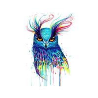 Colorful owl ready to press sublimation/DTF heat transfer for shirts and accessories
