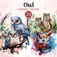 Owl Clipart, Owl Png, Bird Clipart, Bird Png, Woodland Animal, Forest Animal, Animal Vector, Nature,