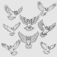 Owl SVG Bundle - 8 different flying owls in svg png dxf jpeg eps  - bird clipart - cricut personal a