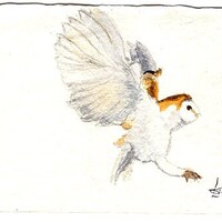 Watercolor print of 'Barn Owl in Flight'