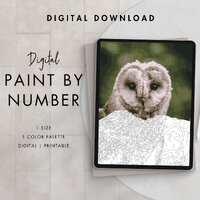 Owl Paint By Number Kit Adult | Printable & Digital Download Art | Procreate Color Palettes | Di