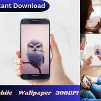 Owl Wallpaper, Bird Wallpaper, Cute Owl Mobile Wallpaper, Cell Phone Wallpaper, Trending Wallpaper, 