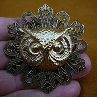 medium Owl head night bird on textured round art deco filigree brass pin pendant  I love owls lover 