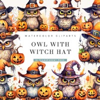 16 Watercolor Funny Owl with Witch Hat Clipart Bundle, Digital Download, Instant Download, Printable