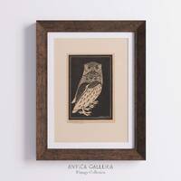 Vintage Owl Print, Dark Academia Decor, Moody Night Owl Print, Woodcut Bird Print, Art Nouveau Style