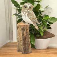 Wooden Carved and Painted OWL on Tree Stump / Fairtrade Ornament Figurine 25cm High / Wood Carving W