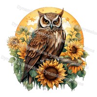 Whimsical Owl PNG | Sunflower Clip Art | Moon and Stars Background | Owl Art | Animal |Instant Downl