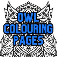 10 adult owl colouring pages