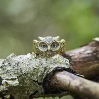 Handmade Owl Ring in Sterling Silver or Bronze | Latvian Artisan Jewelry | Unique Gift for Owl Lover