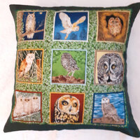 All types of Owls cushion