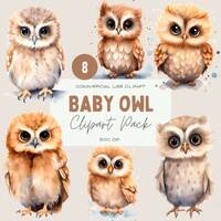 Baby Owl Clipart Watercolor, Clipart for commercial use, Transparent PNGs, Nursery Clipart, Woodland