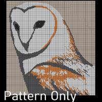 Barn Owl Blanket Crochet *Pattern Only*