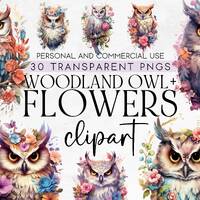 30 Woodland Owls and Flowers Clipart, Woodland Animals Clipart, Commercial Use Clipart, Transparent 