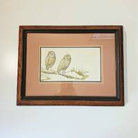 Original RE Thompson Owl Art Work - Vintage Pen & Watercolor Framed Bird Illustration - Signed b