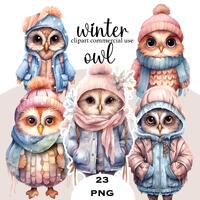 Winter Owl Clipart PNG, Cute Cozy Owl Bundle, Woodland Animal Winter PNG, Pastel Snow Owl Sublimatio