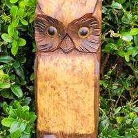 Wooden Owl Clothes Brush holder box