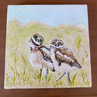 Owls painting, Burrowing Owls, Original Watercolor, Small Canvas Art, Small Watercolor Painting, gif