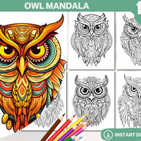 101 Owl Mandala Coloring Book, PDF, Printable Coloring Pages, Simple Mandalas, Stress Relief Pattern