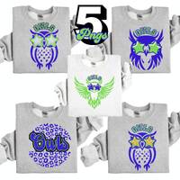 Owl PNG Blue and Green Owl Mascot PNG with Star Eye Sunglass, Trendy Preppy Mascot for School, 300 D