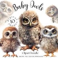 Baby Owl Clipart, Watercolor Winter Birds PNG (Digital Download)