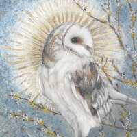 Giclée Print - Barn Owl