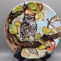 Little Owl, Coalport Bone China Collectors Plates, from The Wise Owl series, by Michael Sawdy.