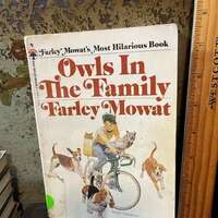 1981 Owls in the Family pb BookFarley Mowat Vintage Childrens Book