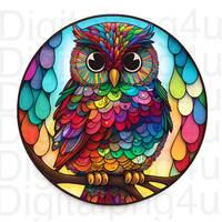 Beautiful colorful owl round png sublimation digital design download wreath sign wind spinner cuttin