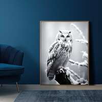 Black and White Snow Owl | Owl in Forest | Winter Nature | Woods Fog | Wall Art