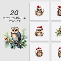 Christmas Owl PNG Bundle, Watercolor Winter Owl Clipart, Christmas Owl Bundle PNG Sublimation Templa