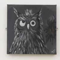 Black and white Owl