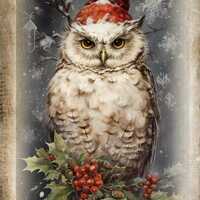 Watercolor nostalgic Christmas owl 2, pattern keeper compatible, PDF instant digital download, count