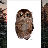 Owl Watercolor || Digital Download || PDF