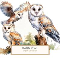 Watercolor Barn Owl Clipart: Bird Art Printable (Commercial Use)