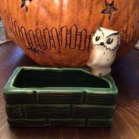 Gilner Owl Halloween Planter