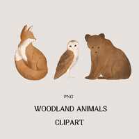8 Woodland Animals Clipart, Owl PNG, Squirrel Clipart, Cute Bear, Fox Illustration, Sparrow PNG, Set