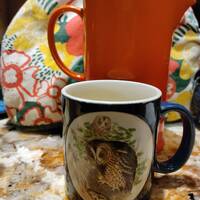 Vintage Otagiri  Owls Mug, Bird Lovers