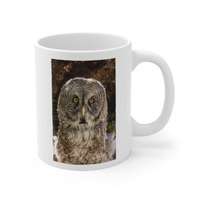 Owl Mug 11oz  Bird mug