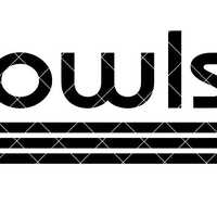 Owls with Three Lines - SVG/DXF/PNG file for cutting machines and sublimation - Customizable in team