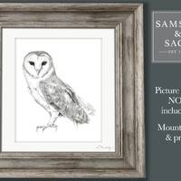 Barn Owl Drawing Barn Owl Mounted Print Wall Picture Owl Wall Art British Wildlife Owl Gift Country 