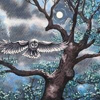 Original Watercolour of a Tawny Owl. Owl paintings, bird paintings, wildlife originals. Andrew Baile