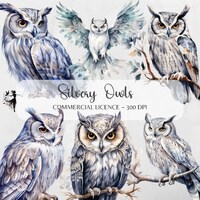 Silver Owl PNG Watercolor Owl Clipart Snowy Owl PNG Owls Junk Journal Owl Printable Clipart Bundle C