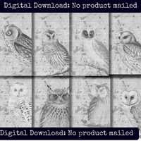 Grungy Owl Printable Paper Set Vintage Owl Stationery Junk Journal Ephemera